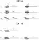 Fig. 10 - METHODS FOR MULTIPLEX PCR