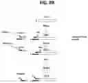 Fig. 12 - METHODS FOR MULTIPLEX PCR