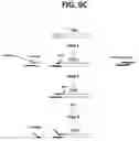 Fig. 13 - METHODS FOR MULTIPLEX PCR