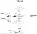 Fig. 14 - METHODS FOR MULTIPLEX PCR