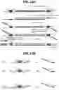 Fig. 19 - METHODS FOR MULTIPLEX PCR