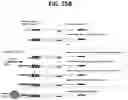 Fig. 22 - METHODS FOR MULTIPLEX PCR