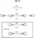 Fig. 24 - METHODS FOR MULTIPLEX PCR