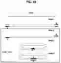 Fig. 25 - METHODS FOR MULTIPLEX PCR