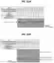 Fig. 28 - METHODS FOR MULTIPLEX PCR
