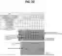 Fig. 29 - METHODS FOR MULTIPLEX PCR