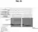 Fig. 32 - METHODS FOR MULTIPLEX PCR