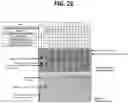 Fig. 33 - METHODS FOR MULTIPLEX PCR