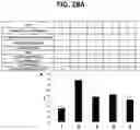 Fig. 35 - METHODS FOR MULTIPLEX PCR