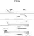 Fig. 53 - METHODS FOR MULTIPLEX PCR