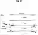 Fig. 55 - METHODS FOR MULTIPLEX PCR