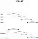 Fig. 56 - METHODS FOR MULTIPLEX PCR