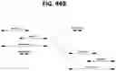 Fig. 58 - METHODS FOR MULTIPLEX PCR
