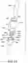 Fig. 19 - Method for conducting an assay
