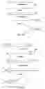 Fig. 16 - CLOSED NUCLEIC ACID STRUCTURES