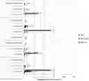 Fig. 01 - ASSESSMENT OF MUTATION BURDEN IN SKIN