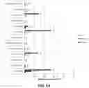 Fig. 02 - ASSESSMENT OF MUTATION BURDEN IN SKIN