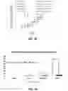 Fig. 08 - ASSESSMENT OF MUTATION BURDEN IN SKIN