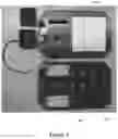 Fig. 07 - MEMBRANE-BASED, IN-GEL LOOP-MEDIATED ISOTHERMAL AMPLIFICATION (LAMP) SYSTEM AND METHOD FOR DETECTING MICROBES