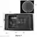 Fig. 09 - MEMBRANE-BASED, IN-GEL LOOP-MEDIATED ISOTHERMAL AMPLIFICATION (LAMP) SYSTEM AND METHOD FOR DETECTING MICROBES
