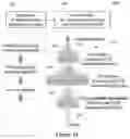 Fig. 10 - MEMBRANE-BASED, IN-GEL LOOP-MEDIATED ISOTHERMAL AMPLIFICATION (LAMP) SYSTEM AND METHOD FOR DETECTING MICROBES