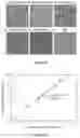 Fig. 12 - MEMBRANE-BASED, IN-GEL LOOP-MEDIATED ISOTHERMAL AMPLIFICATION (LAMP) SYSTEM AND METHOD FOR DETECTING MICROBES