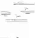 Fig. 03 - NOVEL SYSTEMS, METHODS AND COMPOSITIONS FOR THE DIRECT SYNTHESIS OF STICKY ENDED POLYNUCLEOTIDES