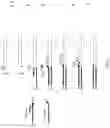 Fig. 06 - Enhanced Adaptor Ligation