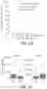 Fig. 03 - Method for preparation and high-throughput microbial single-cell RNA sequencing of bacteria