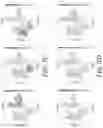 Fig. 10 - Method for preparation and high-throughput microbial single-cell RNA sequencing of bacteria