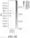 Fig. 11 - Method for preparation and high-throughput microbial single-cell RNA sequencing of bacteria