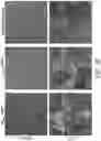 Fig. 12 - Method for preparation and high-throughput microbial single-cell RNA sequencing of bacteria