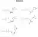 Fig. 16 - MASSIVELY PARALLEL SEQUENCING USING UNLABELED NUCLEOTIDES