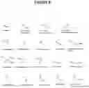 Fig. 17 - MASSIVELY PARALLEL SEQUENCING USING UNLABELED NUCLEOTIDES