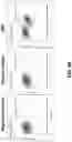 Fig. 14 - USE OF DEXTRAMER IN SINGLE CELL ANALYSIS