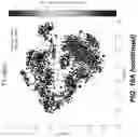 Fig. 17 - USE OF DEXTRAMER IN SINGLE CELL ANALYSIS