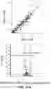 Fig. 22 - USE OF DEXTRAMER IN SINGLE CELL ANALYSIS