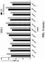 Fig. 19 - METHODS OF PREPARING MICROVESICLE MICRORNAS FROM BODILY FLUIDS