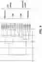 Fig. 20 - METHODS OF PREPARING MICROVESICLE MICRORNAS FROM BODILY FLUIDS