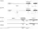 Fig. 04 - PHYSICAL CHARACTERIZATION OF TELOMERE (PCT)