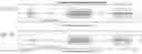 Fig. 08 - PHYSICAL CHARACTERIZATION OF TELOMERE (PCT)
