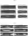 Fig. 04 - SURFACE-MODIFYING METHOD FOR STEEL MATERIAL AND STEEL STRUCTURE
