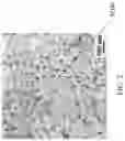 Fig. 03 - Method of making components with metal matrix composites and components made therefrom