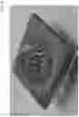 Fig. 05 - Matrix-controlled printhead for an electrochemical additive manufacturing system