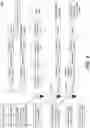 Fig. 03 - Profiling of highly expressed and lowly expressed proteins
