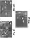 Fig. 04 - Nanowire structures and methods of manufacture thereof