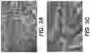 Fig. 07 - Nanowire structures and methods of manufacture thereof
