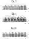 Fig. 07 - Method for the treatment of vegetable material to be used as infill material for synthetic and/or natural turfs