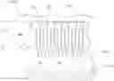 Fig. 01 - Removable reef and barricade system, appurtenances, and means of manufacture