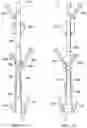 Fig. 14 - Apparatus and method for installing subsurface tubing